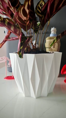 Tuozhu P1S 3D printer, with AMS automatic color change syste - Photo taken in person