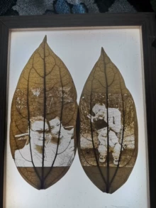 high-end laser engraver - Photo of the actual product